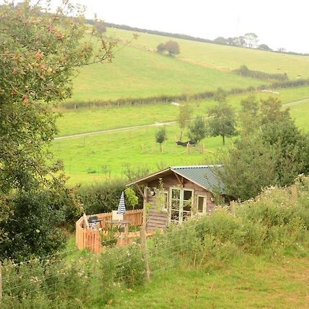 Woolcombe Cabin East Allington Екстериор снимка