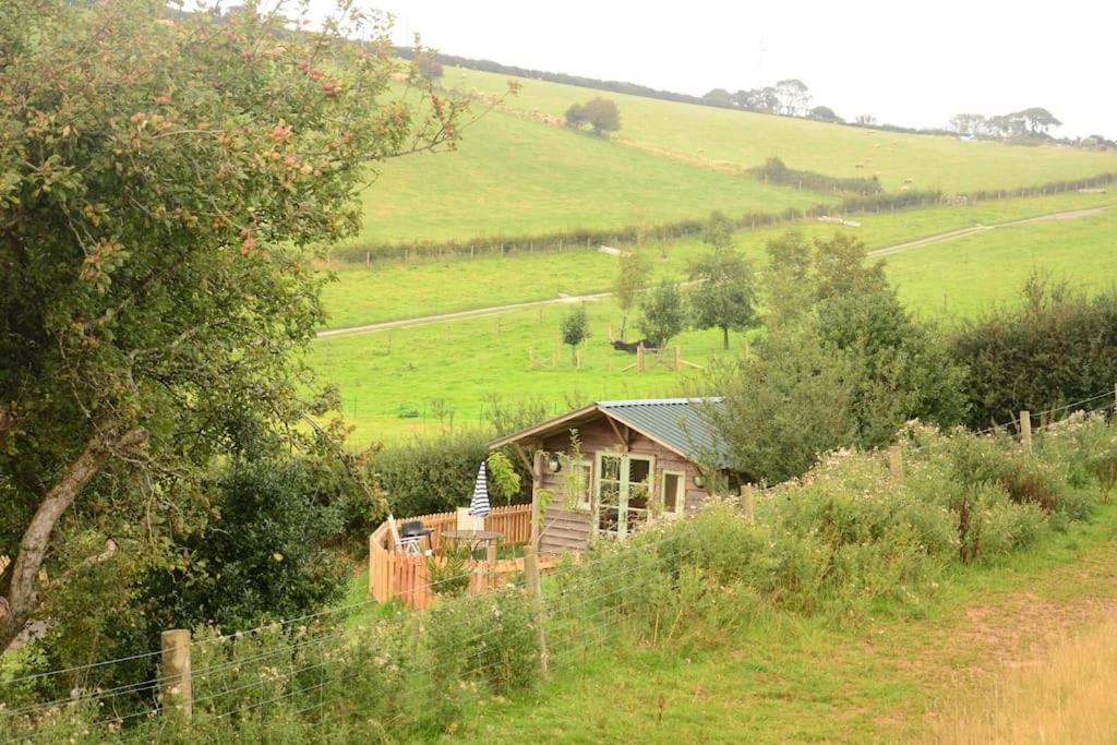 Woolcombe Cabin East Allington Екстериор снимка